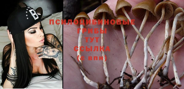 твердый Сатка
