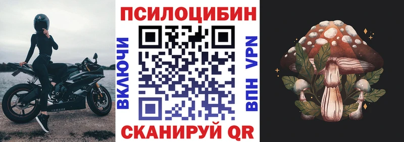 Псилоцибиновые грибы прущие грибы kraken вход Нерехта
